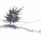 Hultquist / Adolphson: Time Passes in the Trees
