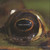Frog's Eye
