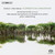 Villa-Lobos – Floresta do Amazonas