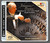 Brahms: Symphony No. 1 / Haydn Variations