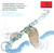 Clarinet Recital: Gray, Gary - Copland, A. / Lutoslawski, W. / Arnold, M. / Rossini, G.