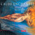 Enchanted Dawn - Works for Flute and Marimba
