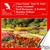 Danish Violin Concertos, Vols. 1 and 2 - Schall, C. / Gade, N. / Grondahl, L. / Frohlich, J.F. / Hartmann, E. / Wellejus, H.