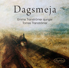 Dagsmeja