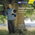 Symphony No. 1 including Blumine